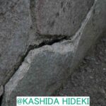 レス6番の画像1