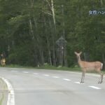 レス2番の画像6