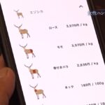 レス2番の画像4