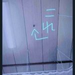 レス2番の画像1