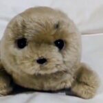 レス1番の画像7