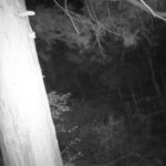 レス1番の画像5