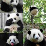 レス1番の画像2