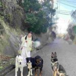 レス1番の画像2