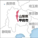 レス1番のリンク先のサムネイル画像