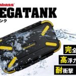 レス1番のリンク先のサムネイル画像