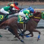 レス2番の画像2