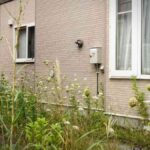 レス3番のリンク先のサムネイル画像