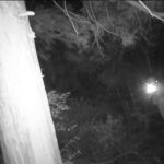 レス1番の画像4