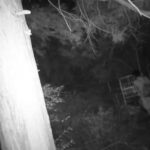 レス1番の画像3