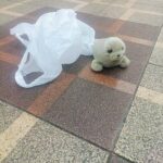 レス1番の画像5