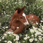 レス1番の画像5