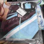 レス12番の画像1