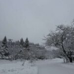 レス2番の画像3