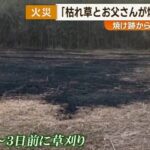 レス1番のリンク先のサムネイル画像