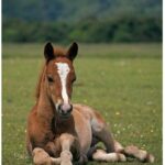 レス1番の画像3