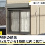 レス1番のリンク先のサムネイル画像