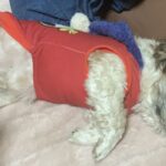 レス11番の画像1