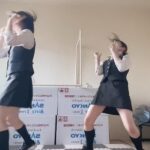 レス22番の画像1