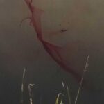 レス32番の画像4