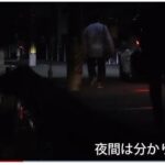 レス26番の画像3