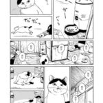 レス4番の画像6