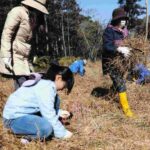 レス1番のリンク先のサムネイル画像