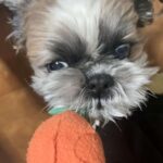 レス46番の画像1