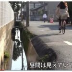 レス26番の画像2