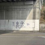 レス8番の画像1