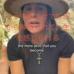 レス29番の画像1