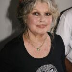 レス12番の画像2