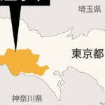 レス1番のリンク先のサムネイル画像