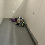 レス2番の画像4