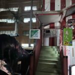 レス1番の画像5