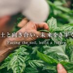 レス32番のリンク先のサムネイル画像