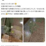 レス40番の画像4