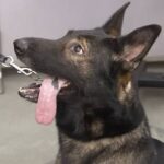 レス3番の画像1