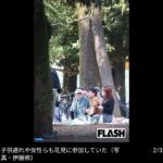 レス1番の画像2