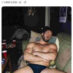 レス22番の画像1