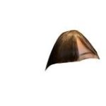 レス24番のリンク先のサムネイル画像