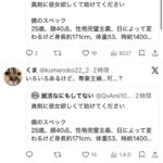 レス1番の画像3