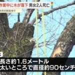 レス1番の画像2