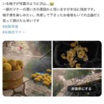 レス40番の画像3