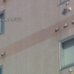 レス1番のリンク先のサムネイル画像