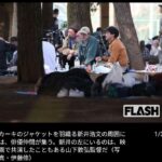 レス1番の画像1