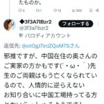 レス45番の画像3