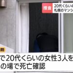 レス1番のリンク先のサムネイル画像