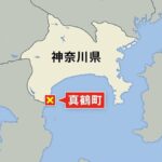レス1番のリンク先のサムネイル画像