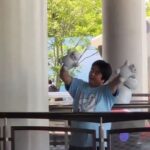 レス1番の画像2